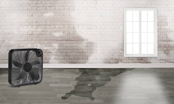 Best Water damage repair service  in Byron, CA