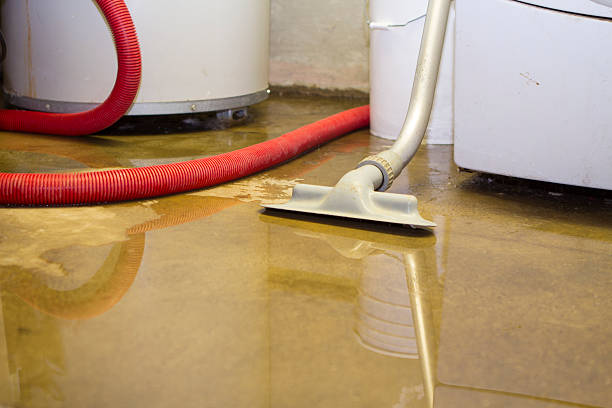 Best Water damage cleanup near me  in Byron, CA