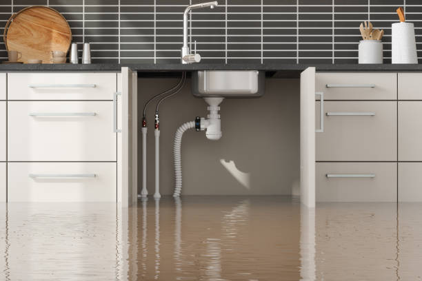 Best Mold removal after water damage  in Byron, CA